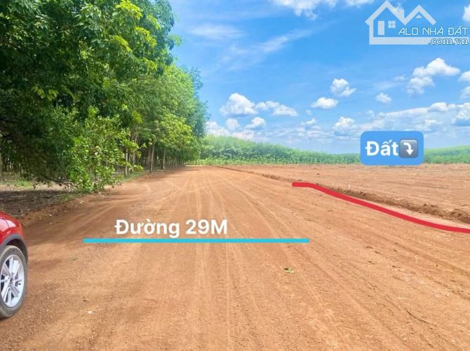 1000m2 cặp sát tuyến 2 (65m) mặt đường 24m Đồng Phú Đồng Nai chỉ 300 triệu