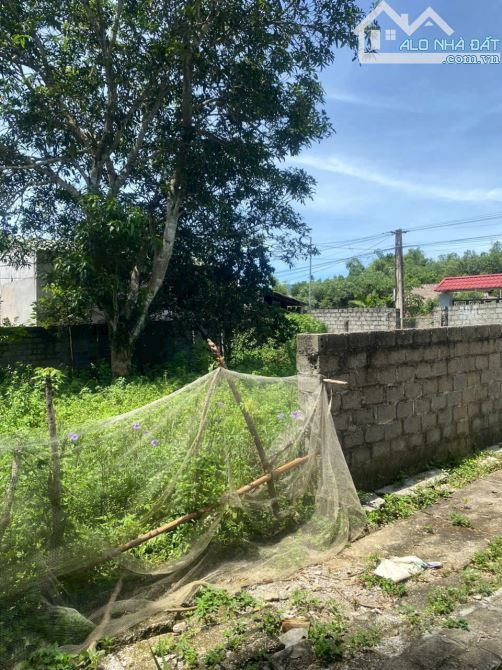 👉 Diện tích 332,9m2, trong đó có 300m2 đất ở, lô đất tại Quê Rù, Vĩnh Đồng, Kim Bôi, Hòa
