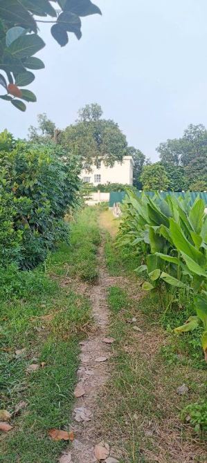 Bán đất nông nghiệp xã Thuận An 📐 Diện tích: 1.080m² 🏞 Mặt tiền: 18m, 2 mặt đường ô tô t