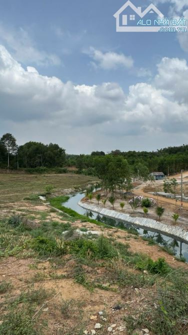 BÁN 1,2 HA ĐẤT HẮC DỊCH TÓC TIÊN 550M2 THỔ CƯ GIÁ CHỈ 21 TỶ