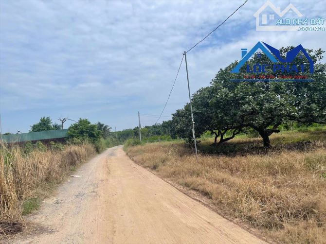 S90-Bán đất SKC 8.550m2  gần KCN Giang Điền  H. Trảng Bom Đồng Nai