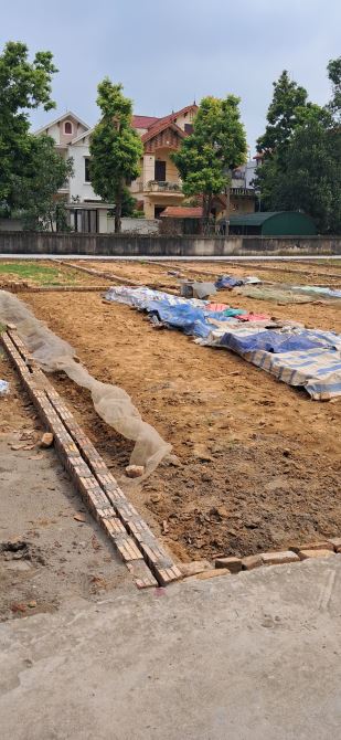 Bán 66M2 ĐẤT NINH XÁ THUẬN THÀNH BẮC NINH,ĐƯỜNG 4M,MT = HẬU = 5M,GIÁ CHỈ HƠN 1 TỶ