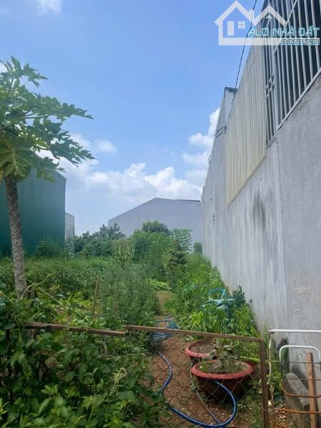 đất mặt tiền Trần Nhật Duật - Cô Thôn - Tân Lợi - BMT khu du lịch đặc trưng của Tây Nguyên