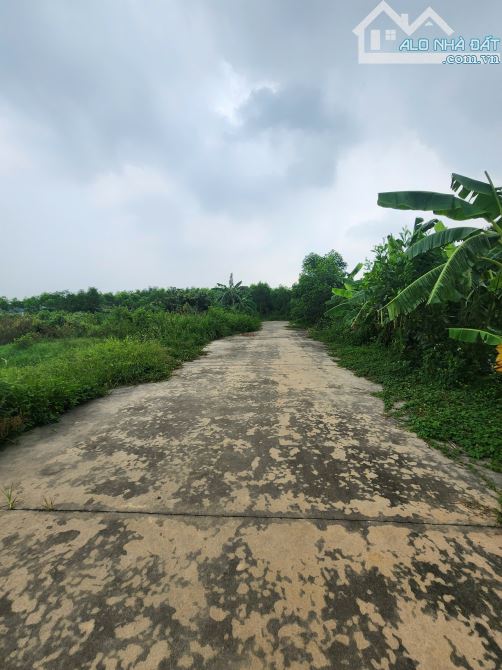 Bán đất Trang Trại Do Nha  . dt 4000m . mt 50m . giá 10 tỷ
