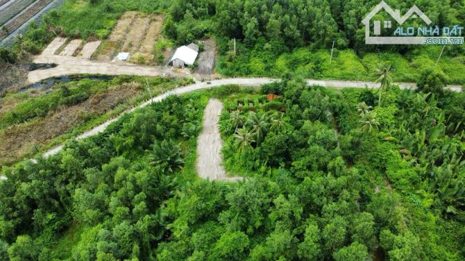 Bán 80 công đất ruộng mặt tiền 320m siêu đẹp ô tô vi vu Tại Hậu Giang
