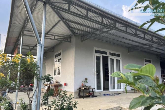 ✅Chị chủ cần bán nhà vườn tâm huyết hẻm 407 Đinh Công Tráng, Lộc Châu, Bảo Lộc.👉 1000m2