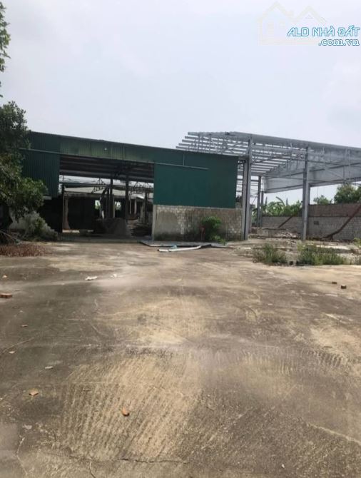 Bán 2161m2 đất phi nông nghiệp tại Xã Đông Cường, Đông Hưng, Thái Bình mặt tiền 30m
