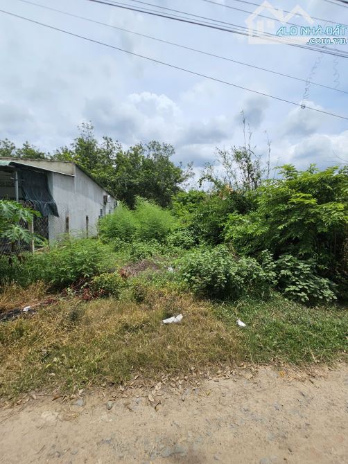 BÁN ĐẤT 1 SẸT ĐƯỜNG AN BÌNH, 8x28. 224m2 – GẦN KCN, TRUNG TÂM TRẢNG BÀNG