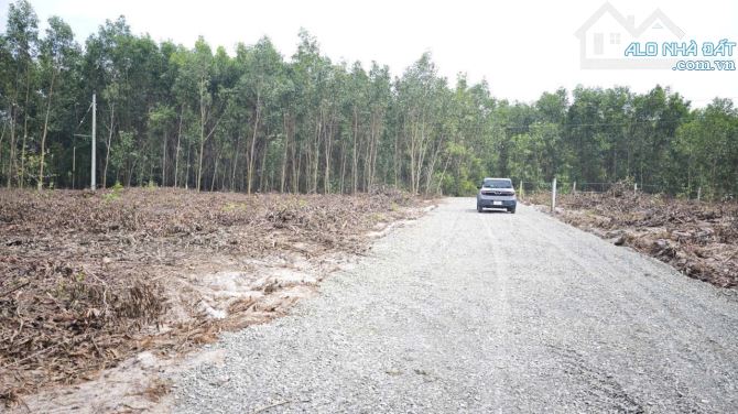 Bán 1033m2 đất ODT Tân Phước - TX LaGi giá ngộp 950 triệu sổ riêng