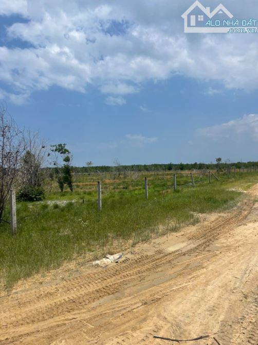 Bán 5949m2 đất Đường Số 1 - Tân BÌnh - LaGi giá ngộp 1.14 tỷ/ sào gần biển