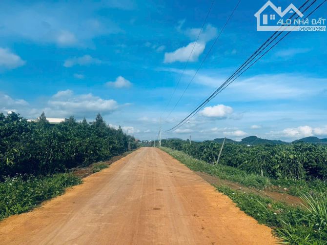 Cần bán 20 nền F0 xã Tân Hội Lâm đồng giá rẻ