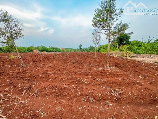 HƠN 1 MẪU ĐẤT MẶT TIỀN ĐƯỜNG NHỰA, QUY HOẠCH ĐẤT Ở, LIỀN KỀ CAO TỐC LONG THÀNH - HỒ TRÀM