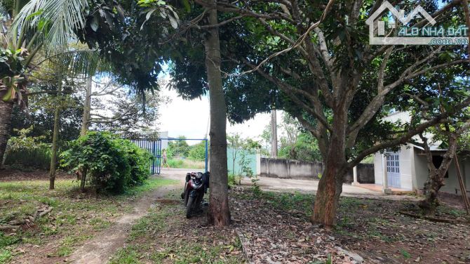 VƯỜN CÂY ĂN TRÁI VIEW SUỐI CỰC ĐẸP, SẴN THỔ CƯ, GẦN CAO TỐC, GIÁ BÁN NHANH SIÊU TỐT