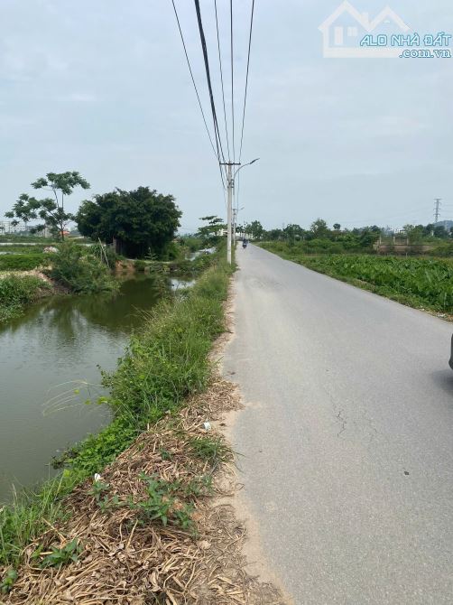 ⛳Bán Đất Trục Chính Đường 287 Sơn Nam, Nam Sơn, Gần KCN, Mt 4.8m Dt 188m2 Giá 5.7 Tỷ - 1
