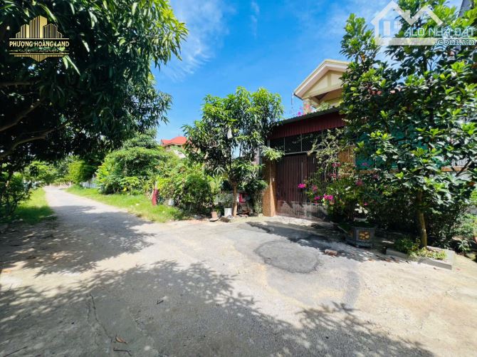 SIÊU PHẨM ĐẤT ĐẸP – XÓM YÊN VINH, HƯNG ĐÔNG (CŨ) – P. VINH HƯNG 128,2m2 Tây Bắc đường 8m - 1