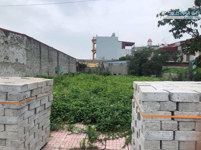 Bán đất lô KĐT Trần Hưng Đạo TP Thái Bình DT84,6m2 đất MT5m sinh lời cao đất vuông đẹp - 2