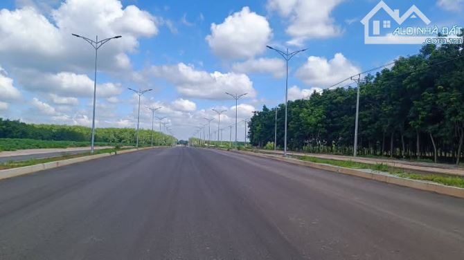 1000m2 cặp sát tuyến 2 (65m) mặt đường 24m Đồng Phú Đồng Nai chỉ 300 triệu - 1