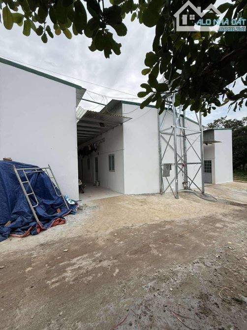 Mở bán dãy trọ - 16 phòng Khu Công Nghiệp Hoà Phú - TP BMT 
TRỌ LÚC NÀO CŨNG FULL KHÁCH - 1