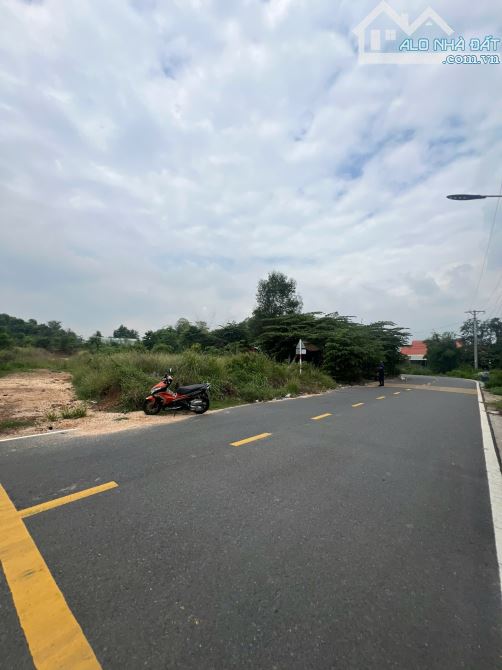 Đất mặt tiền đường Khánh Bình 15 kinh doanh đa ngành nghề - 1