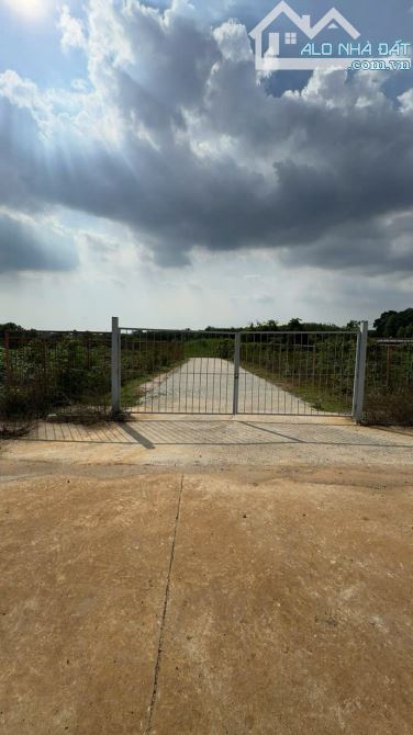 BÁN 1,2 HA ĐẤT HẮC DỊCH TÓC TIÊN 550M2 THỔ CƯ GIÁ CHỈ 21 TỶ - 1