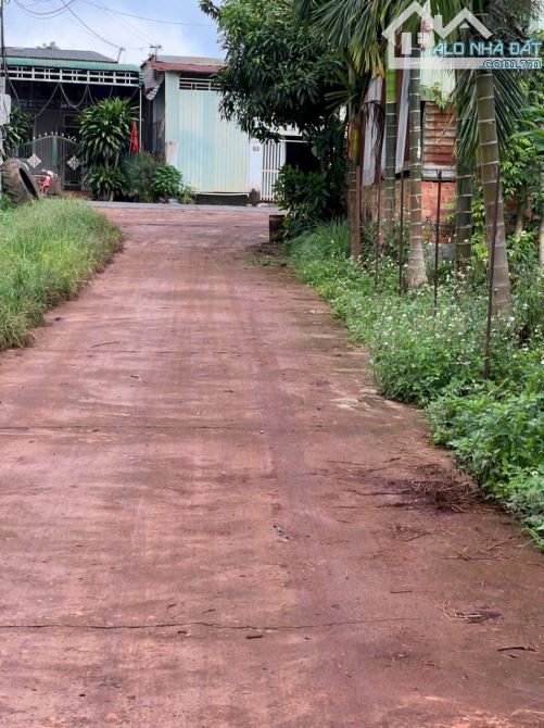 📣Bán Đất 5x25m 800triêụ hẻm Phan Huy Chú cách ủy ban Hoà Xuân 200m Buôn Ma Thuột - 1