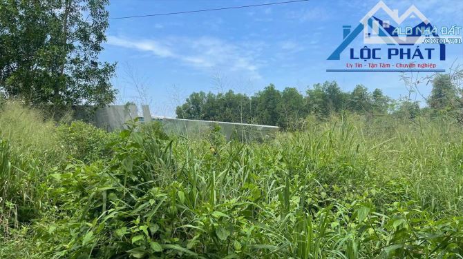 S90-Bán đất SKC 8.550m2  gần KCN Giang Điền  H. Trảng Bom Đồng Nai - 1