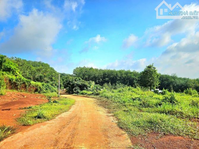🌿 BÁN GẤP 4 SÀO ĐẤT THỔ VƯỜN –VEW SUỐI TẠI ĐỒNG NAI 🌿 💰chỉ 600 triệu (trọn gói) - 1