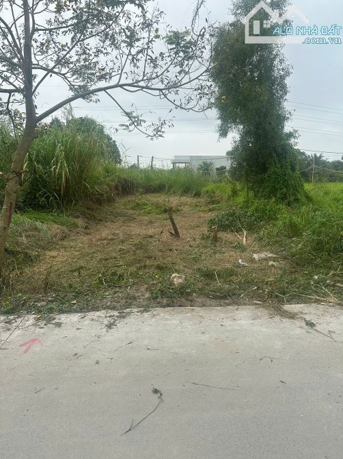 Chính chủ bán lô đất phường Tân An mới, cách tỉnh lộ 827A (500m) - 1