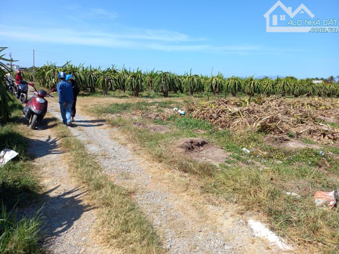 Đất Ngộp-Minh Hoà-Hàm Thuận Nam(Hàm Minh cũ)-Lâm Đồng-2,4 sào+ 2,8 sào - 1