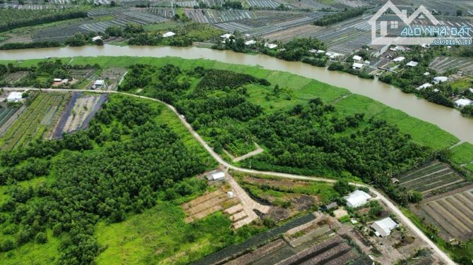 Bán 80 công đất ruộng mặt tiền 320m siêu đẹp ô tô vi vu Tại Hậu Giang - 1