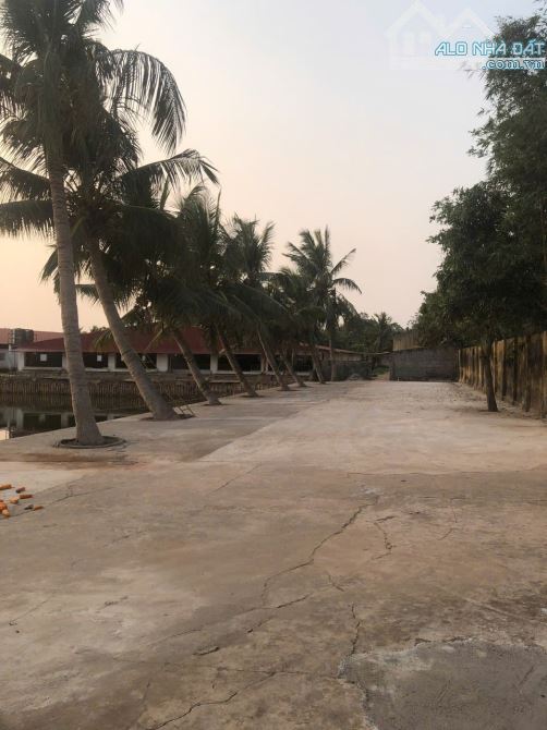 Bán lô đất 15.000 M Ngọc Xuyên Đồ Sơn Hải Phòng - 1