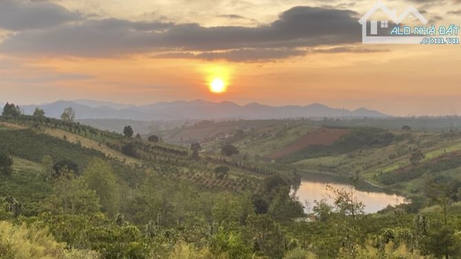 🔥Bán đất view hồ con voi đường Đảo Rùa Lộc Tân Bảo Lâm. RẺ NHẤT KHU VỰC - 1