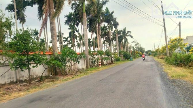 Hàng Thơm, 250m2 đất thổ đường xe buýt Tân Trụ, chỉ 1.5 tỷ - 1