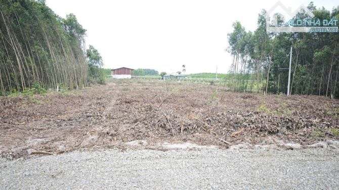 Bán 1033m2 đất ODT Tân Phước - TX LaGi giá ngộp 950 triệu sổ riêng - 1