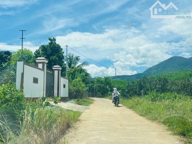 Bán đất Khánh Đông có thổ cư giá rẻ đường thông gần Tỉnh Lộ 8 - 1