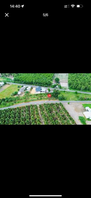 CHỦ NGỘP BÁN 1 LÔ ĐẸP CÓ VƯỜN BƠ THỊ TRẤN PHƯỚC HẢI- HCM- GẦN BIỂN PHƯỚC HẢI - 1