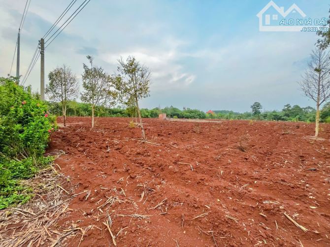 Cần bán 11.093m2 đất phủ hồng, mặt tiền nhựa đến 74m, liền kề cao tốc Long Thành - Hồ Tràm - 1