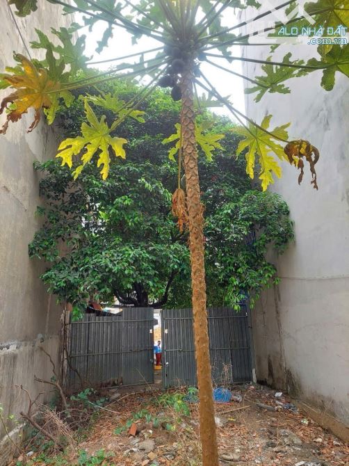 Bán đất tại Nguyễn Xí, Phường 26, Bình Thạnh, Hồ Chí Minh, 9,5 tỷ, 60m2 - 1