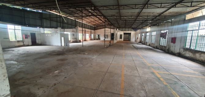Xưởng đẹp xã Xuyên Mộc - XUyên Mộc - 1