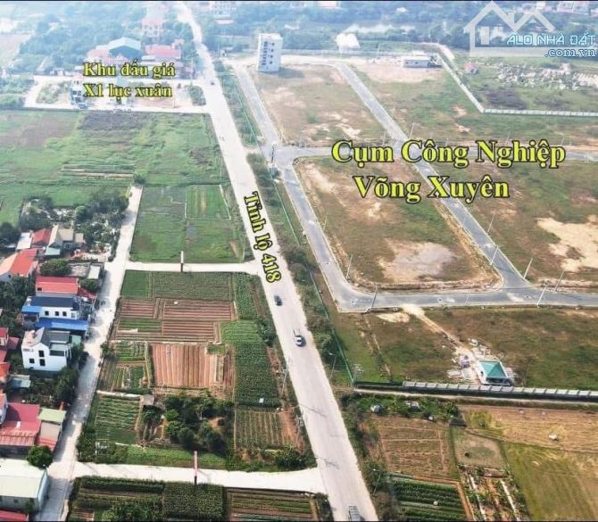 Siêu Phẩm. Bán 111m đất mặt ngoài khu đấu giá X1 Lục Xuân, Phúc Lộc, Hà Nội - 1