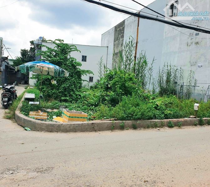 Bán 2 lô đất liền kề tạo thành lô góc 168m2 (Ngang 12.4m), hẻm xe hơi Quận 7, giá 6.x tỷ. - 1