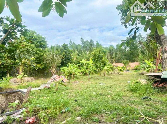 Cần bán khu vườn nghĩ dưỡng 💵💵 giá: 3.TỶ.2  DT: 1.127m2 (hơn 1.Xào) sổ hồng - 1
