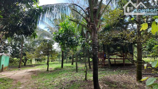 VƯỜN CÂY ĂN TRÁI VIEW SUỐI CỰC ĐẸP, SẴN THỔ CƯ, GẦN CAO TỐC, GIÁ BÁN NHANH SIÊU TỐT - 1