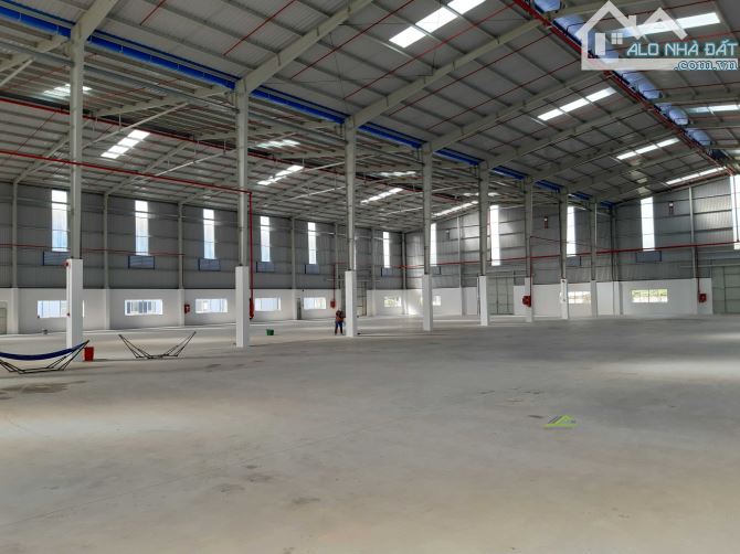 Cho thuê kho, nhà xưởng khu công nghiệp châu đức, tổng 20.000m2 - 1