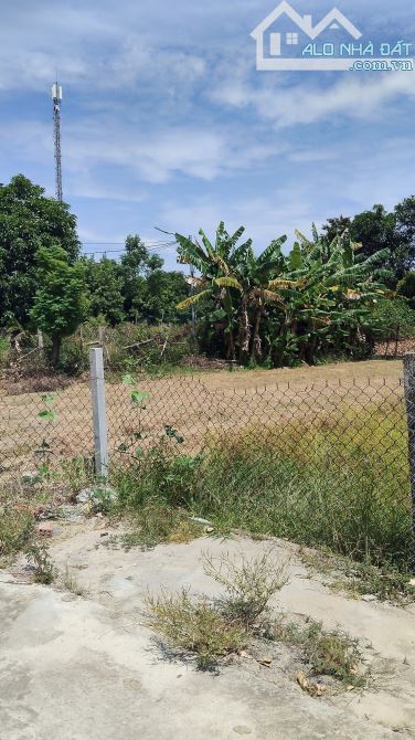 LÔ GÓC - ĐẤT ĐẸP KIỆT Ô TÔ – GIÁ MỀM – HÒA QUÝ, NGŨ HÀNH SƠN ĐƯỜNG BÌNH KỲ 🏡 - 1