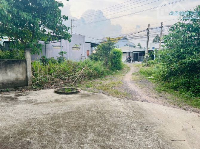 Bán gấp nền thổ nhà vườn Vĩnh Thanh Nhơn Trạch giá rẻ 4,6TY/1850M. SR chính chủ, đường 6m - 12