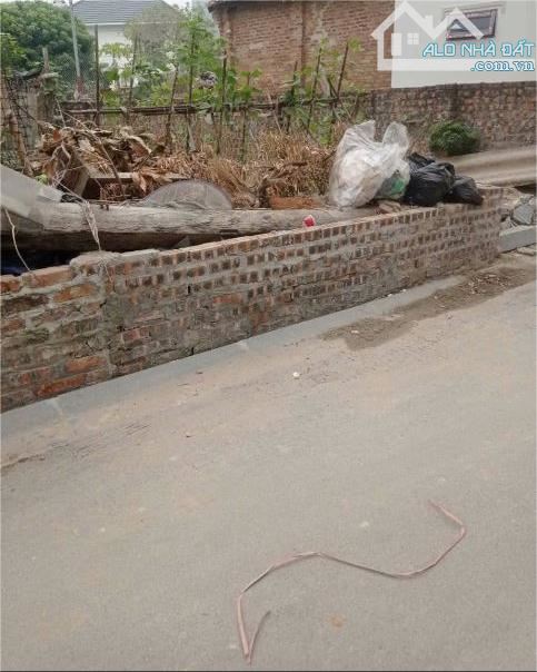 Bán 55m đất sổ đỏ chính chủ ô tô 7 chỗ đỗ cửa tại trung tâm Vĩnh Ngọc Đông Anh - 3
