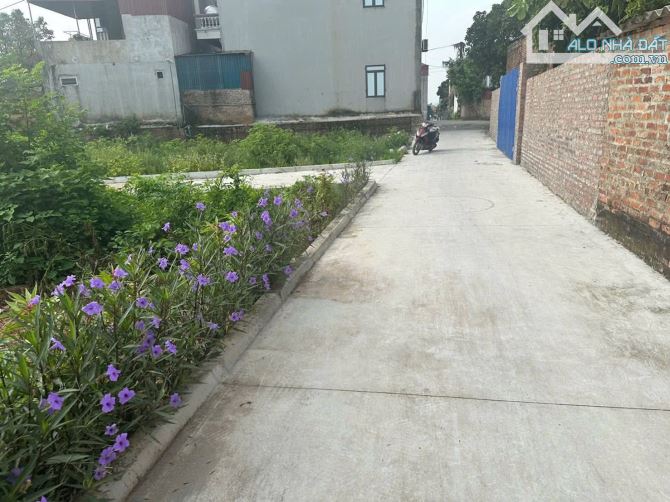 Mạnh đất siêu đẹp tiềm năng gần vành đai bốn 👉 vân tảo -thường tín - 2