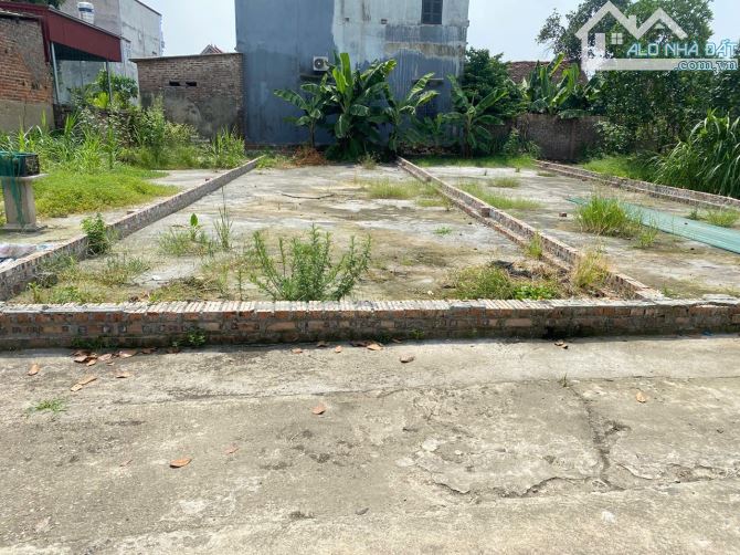 BÁN ĐẤT MAI ĐÔNG, MAI ĐÌNH, SÓC SƠN, HÀ NỘI. 121M2 TRỤC THÔNG Ô TÔ - 2