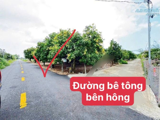 KẸT TIỀN BÁN LÔ ĐẤT NHÀ VƯỜN THỊ TRẤN PHƯỚC HẢI, NGAY GẦN HỒ SỞ BÔNG - 2